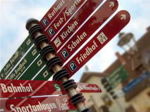 开云中国大陆-高校运动队选拔机制公平性研究，高校运动队选拔机制公平性研究报告